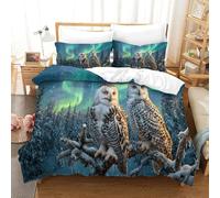 XPASHIQWC Hiouf Ensemble De Literie 3D Imprimé forêt enneigée Aurora avec Fermeture Éclair Taie d'oreiller pour Enfants Ados Cadeau pour Anniversaire Ou Fête Double（200x200cm）