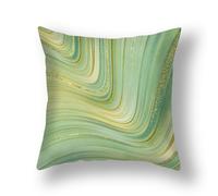 xpkvdsq Taie Oreiller 80x80cm Doré Vert Microfibre Premium Housse Coussin pour Coussins Canapé/Lit Tissu Super Doux Resistant et Lavable Anti-Acariens avec Fermeture éclair Invisible