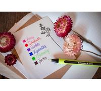 Xpress (Fineliner Stylos, Pointe Fine 0,8 Mm) Lot De 10, Bleu