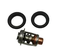 XRmarine 0436174 0437090 0765585 0435100 Kit thermostat avec joints d'étanchéité pour moteurs hors-bord Johnson Evinrude 90° V6 115 135 150 175 HP Sierra 18-3534 GLM 13. 110