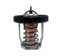 XRmarine Thermostat 5036226 140°F / 60°C pour moteur hors-bord Johnson Evinrude Système de refroidissement J25 BJ25 25HP