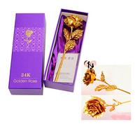 Xrten 24K en Or Récolté en Véritable Rose avec Boîte Cadeau, pour la Saint Valentin la Fête d'anniversaire la Fête des Mères (Or)