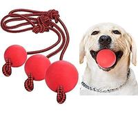 Xrten 3 pcs Jouets pour Chien avec Corde de Balle en Caoutchouc, Jouets pour Animaux de Compagnie, Jouets à Mâcher pour Chats