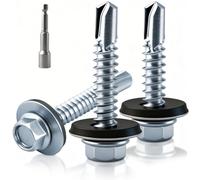 XRXYMQ 100 Pièces Vis Autoforeuse Metal 4.8 x 19 mm Vis Autoforeuse Inox avec Rondelles D'étanchéité Vise Bac Acier con Kit de Clé à Douille Vise Autoperforante pour Réparations Domestiques Tole Acier