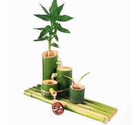 XSDAJSD Kit de Fontaine à Eau en Bambou, décoration de Jardin Japonais/Fontaine d'intérieur, Fontaine Feng Shui, aménagement Aquatique pour Bassin, Aquarium ou Cour (55 cm)