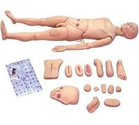 XSDAJSD Mannequin de Formation Homme et Femme Grandeur Nature (1,74 m) - Mannequin de Soins aux Patients - Modèle pédagogique et d'enseignement - Mannequin de démonstration Interchangeable