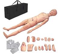 XSDAJSD Mannequin de Soins aux Patients Grandeur Nature (1,74 m) pour la Formation et la Simulation de réanimation Cardio-respiratoire. Mannequin Humain Complet pour l'enseignement et la Recherche.