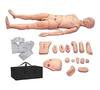 XSDAJSD Mannequin Humain Grandeur Nature de 1,74 m (5,7 pi), simulateur de RCP pour la Formation et l'enseignement des Soins Infirmiers et médicaux. Fournitures médicales.