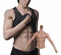 XSWL Costume musclé en Silicone Torse Masculin en Silicone avec Bras Costume réaliste de Faux Muscles Masculins pour Cosplay et Halloween,Color 2,L