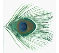 Xtc - Apple Venus 1