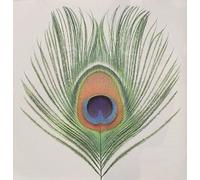 Xtc - Apple Venus 1 [Cd] Uk - Import