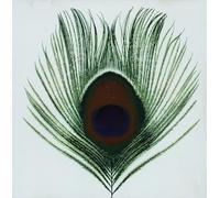 XTC - Apple Venus
