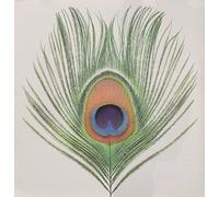 XTC - Apple Venus Vol 1 By XTC (2015-06-15)