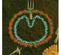 XTC / HOMEGROWN by XTC