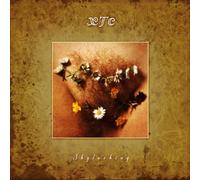 Xtc - Skylarking -Deluxe/Hq-