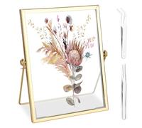 XTDMJ Cadre photo en verre 15 x 20 cm - Pour fleurs pressées - Cadre en verre pour fleurs pressées - Transparent - Pour échantillon de plantes - Artwork - Support d'affichage