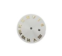 XTINKOPW Cadran de Montre mécanique NH05 24,2 mm, Cadran Lumineux BGW9 for NH05 NH06, pièces de Modification for boîtier de 31 mm(Gold-White)