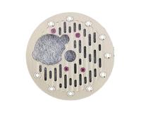 XTINKOPW Cadran de Montre Ultra Lumineux de 28,5 mm, série Creuse, Compatible avec Les modèles NH70, NH70A, NH35, NH36, NH38, Accessoires de Montre(WZ-N-169)