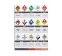 XTVVTODJXT Chemical Poster Dangerous Goods Classification HAZMAT Reference Canvas Wall-Art(Framed,12x18inch(30x45cm))