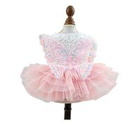 Xuancai Robe de mariage pour petit animal de compagnie brodé papillon dentelle robe pour bichon chat pull jupe tulle fête costume petit chien