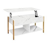 XUANYU Table Basse avec Rangement Ouvert et Compartiment Caché, Table de Salon avec Plateau Relevable, Tables Salon Basse pour Salon, Balcon, 90 x 48 x 47,2 cm (Marbre Blanc + Pied Doré)