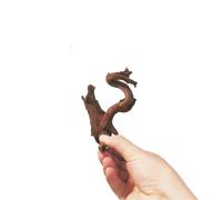 XUCZHAI Grands Ornements d'aquarium en Bois flotté, Corail, Grand Aquarium pour Aquascaping, Hardscape(5-10CM 30pcs)