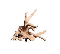 XUCZHAI Tronc d'arbre en Bois flotté, 1 pièce, Micro Paysage, Ornement cylindrique for Aquarium, Racines de Coucou, Mort pour Aquascaping, Hardscape(30-40cm)