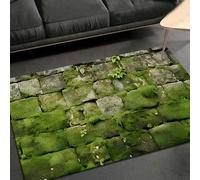 xueneige Grand Tapis Salon Tapis 3D Lavable en Machine Velours De Cristal Antidérapant avec Effet Visuel 3D Stupéfiant Durable Doux Perfect pour Décoration Maison en Taille 80 x 120cm
