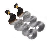 XUJUAN-0227 Lot de 1/3 extensions de cheveux humains argentés, 100 % cheveux humains, gris ombré, bicolore, extensions de cheveux humains Remy (1 pièce de 20,3 cm)