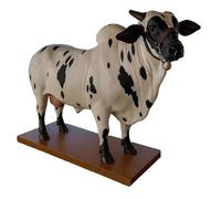 Xujuika Carafe à décanter - Figurine de Bouteille d'alcool en Forme de - Récipient de Boisson de Collection Amusant pour la Maison, Mariage, Anniversaire, Voyage, Pendaison de crémaillère