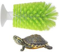 XUKPO Brosse Récurer pour Tortues - Brosse Dos pour Grattoir Tortues Brosse Nettoyage pour Carapace Tortue Brosse Exfoliante Brosse Ventouse pour Enlever Ecailles Carapace Tortue(Green)
