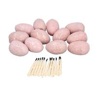 XUMIUZIY Kit éducatif de Creusement D'œufs de Dinosaure 12 Pièces, Ensemble de Jouets D'excavation D'archéologie Créative pour Enfants, Gesso, pour L'apprentissage en Classe