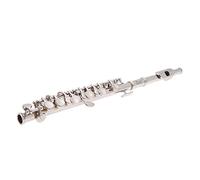 XUMIUZIY Piccolo Ottavino Instrument de Musique en Cupronickel plaqué Argent avec Chiffon de Nettoyage, Tournevis, Boîte Rembourrée, Cadeau Pratique pour les Amateurs de Flûte
