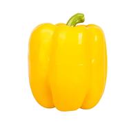 XuQiZZpp Jouet pour animal domestique en forme de poivre coloré pour mastiquer les dents - Jouet interactif résistant pour mastication agressive