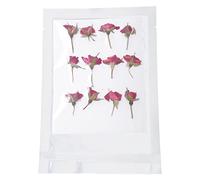 XuQiZZpp Presse florale verte créative pressée pour enfants, adolescents, filles, garçons