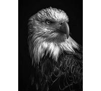 XUTAOZI Puzzle en Bois 1000 pièces Puzzle Aigle à tête Blanche américain Puzzle pour Enfants Adultes Puzzle éducatif pour Enfants Puzzle Jouet