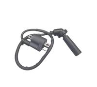 XUVODG Interrupteur d'allumage Moto pour Hyosung pour Gt250 GD250R GV125 GV250 GT125 RX125 XRX125SM RT125 Bobine D'allumage Bouchon Bougie D'allumage Fil Démarrage 33430-HG5-100 Allumages Moto