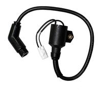 XUVODG Interrupteur d'allumage Moto pour Polaris 300 pour Hawkeye 300 2X4 4X4 2006 2007 2008 2009 2010 2011 Bobine D'allumage Moto Pack Bobines D'allumage 3089860 3089910 Allumages Moto