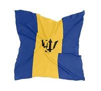 XUWU Foulard carré en soie pour femme - En satin - Pour cheveux, Drapeau de la Barbade, taille unique