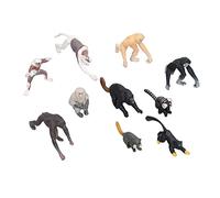 XUXHOU Ensemble de Figurines de Primates en Plastique, 10 Singes | Matériau Plastique Sûr et Durable, Figurines Réalistes de Gibbon et D'orang-outan, éducatif pour Projets Scolaires ou