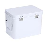 XUXHOU Organisateur de Stockage de Trousse à Médicaments Multifonctionnel, Boîte Portable à 2 Couches pour une Utilisation D'urgence Domestique, Pratique pour les Sorties, Matériau en Fer, 2
