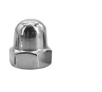 XUXPFJ Écrous borgnes hexagonaux en Acier Inoxydable 304, M3-M18, écrous bombés for écrous hexagonaux décoratifs filetés métriques, 1 à 10 pièces(304 Stainless Steel,M10 (2pcs))