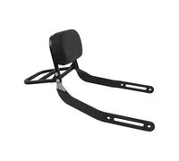 XUXRHMEAN Pour Kawasaki Eliminator 400 450 500 500 SE 2023-2025 Dossier Amovible Pour Siège Passager Arrière Et Porte Bagages Sissy Bar Dossier de Passager Arrière Moto