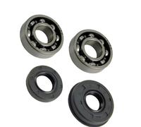 XUZHEOUZPJ Pièces de réparation Kit de Joint d'huile de Vilebrequin et roulement à Billes rainuré G2500 for tronçonneuse à poignée 2500 25CC 25,4CC(5 Sets)