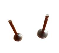 XUZHEOUZPJ Pièces de réparation Kit GT600 Compatible avec Moteur GM182 6 CV, Alternateur MBG2902, Soupapes D'admission Et D'échappement(Exhaust Valve Only)