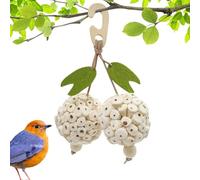 XVogelspielzeugkugeln - Jeu coloré pour Perroquet - Boule à mâcher Moderne - Globe en rotin tissé, de Cage Interactive, Perle d'entraînement en Bois, Divertissement Variable, granulés