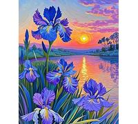 XvvwEndlessx Broderie Point De Croix Imprimé Kit Broderie Debutant Quand L'Iris Rencontre Le CréPuscule 11CT DIY ŒUvres D'Art Faites à La Main Pour Adultes DéButants 40×50Cm