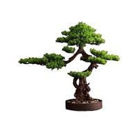 XXAD553TY Bonsai Artificiel Simulation de pin de Bienvenue for Bureau, Faux pin Artificiel, bonsaï, Salon, Porche, Plante Verte, décoration de Paysage Bonsai Artificiel Realiste(Size:80cm)