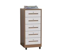 XXAD553TY Gain de Place Armoire de Rangement d'étude Salon, classeur Grande capacité à 5 Couches, Organisateur données Bureau, Armoire en Plaque d'acier épaissie 1,2 mm(Bruin)