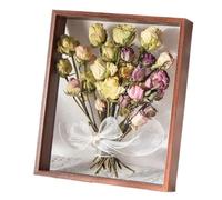 XXHNBF Cadre Photo, Cadre photo en acrylique transparent double face, spécimen de feuille, multicolore, plusieurs tailles